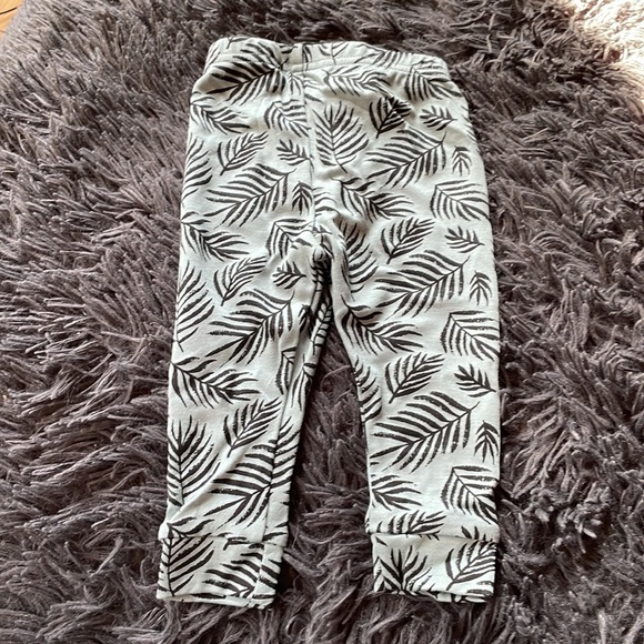 3/$20! NWT LITTLE & LIVELY LEGGINGS 3-6 months palm leaf design - Picture 6 of 7